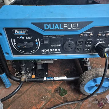 Reparación y Mantenimiento de Plantas Eléctricas - Adaptación a gas - 2/10