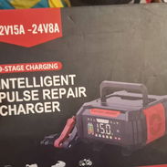 Cargador inteligente 12vol 25AH - Img 58206702