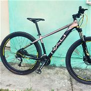 Bicicleta ralli xuvia - Img 45608200