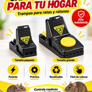Conoce Ratoneras - Img 57602927
