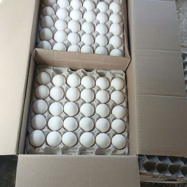Caja de huevos viene por 12 cartones - 2/2
