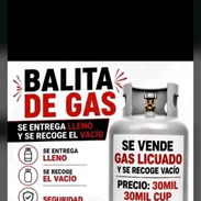 Venta de balitas en San Miguel del padrón 63091777 - Img 56076129
