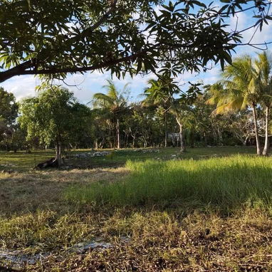 FOR SALE | 2-HECTARE FREEHOLD PROPERTY | HAVANA, CUBA - Img 125694210