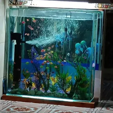 Venta de casa en buena vista - 6/10