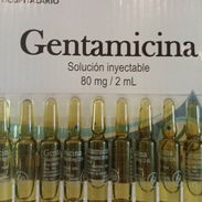 Gentamicina - Img 55110809
