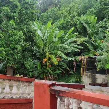 Finca boyero - 4/10