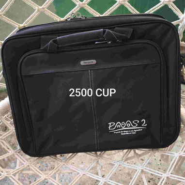 Maletines tipo portafolio y mochilas para documentos y laptop - Img 121747797