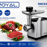 Moledora royal - Img 56108000