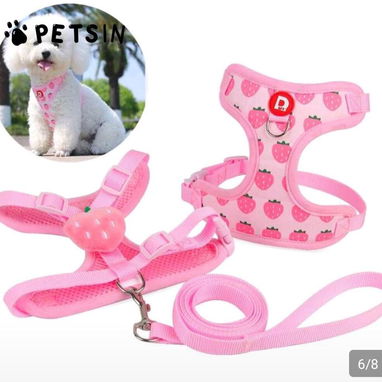 Productos para mascotas - Img 119748046