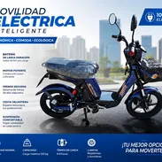 Bicicleta eléctrica IZUKI BIMINI - Img 56143323