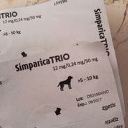 Simpàrica trío - Img 56290061