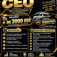 Buscamos CEO - Img 58362592