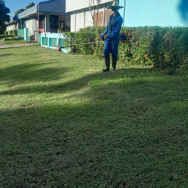 Servicios de Jardinería y Limpieza de exteriores (trabajamos en la mayoría de los municipios) - Img 122417687