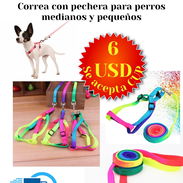Correa con pechera para perros medianos - Img 56453704