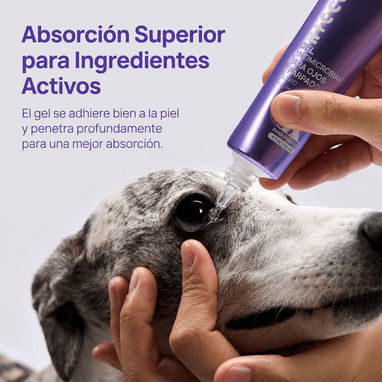 GEL ANTIMICROBIANO OCULAR / para perros y gatos - 2/2