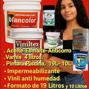 PINTURAS ORIGINALES SELLADAS E IMPORTADAS - Img 54991802