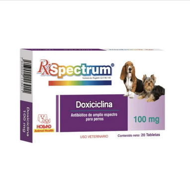 Doxiciclina antibiótico para perros y gatos - 2/2