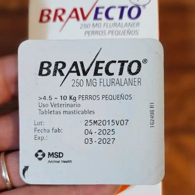 Bravecto para perros pequeños (4.5 Kg a 10 Kg) - Pastilla masticable - Img 125111391