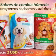 Comida húmeda para perros cachorros - Img 55886500