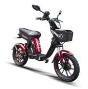 Busco Gestores de Venta para promocionar Bicimotos🏍📦 Comisión libre x venta💵 - Img 47983481