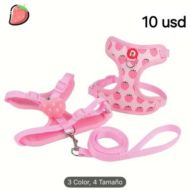 Correas con pecheras!! - Img 102800843