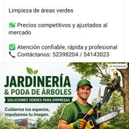 Servicio y mantenimiento - Img 56472351
