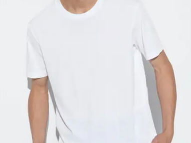Camisetas de hombre mangas cortas y mangas largas - Img 70936000