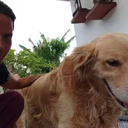 Groomista canino Cuido su mascota - Img 55744728
