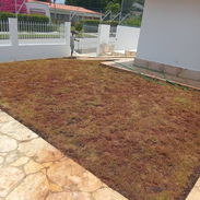 Servicio de jardinería 👩🏼🌾 - Img 55639874