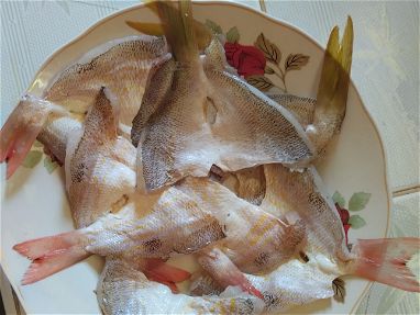 Minutas de pescado de mar fresco por cantidad - Img 66270575