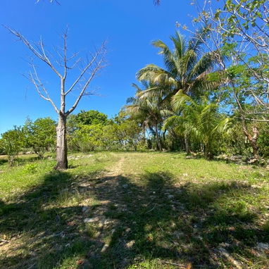 Finca en la zona de la UCI. - Img 125936939