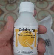 Cefalexina - Img 45855228