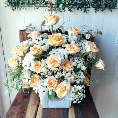 Flores - 3/10