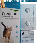 Credelio para gatos - Img 54489024