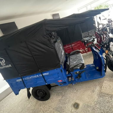 Triciclo _PANTHER_*Mot elec - 2/7