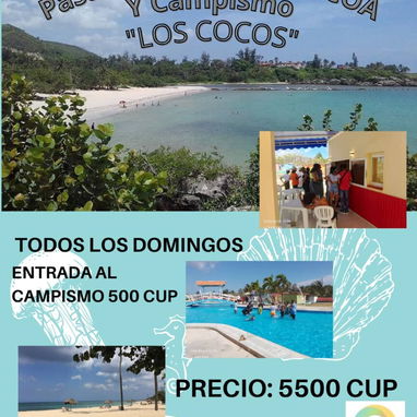 Excursiones disponibles para este Verano ☀️ - Img 125028512