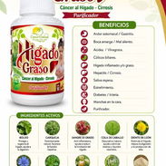 HIGADO GRASO - Img 50619220
