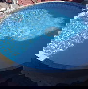 Disfruta en Villa Mary - Piscina para pasadías en Capdevila, Boyeros - Img 50269108