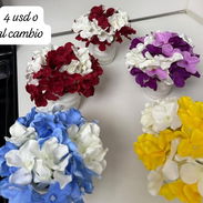 Bucaros - Img 54520952