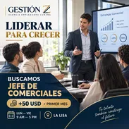 Oferta de trabajo de jefe de comerciales - Img 57545223