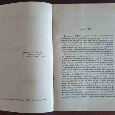 Paradiso de José Lezama Lima. Edición original de 1966-UNEAC, con diseño de portada de Fayad Jamis. Buen estado 10 usd - Img 123064487