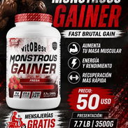 Mass Gainer - Img 57619541