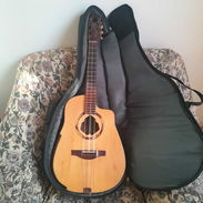 Se vende un tres con su estuche incluido. - Img 55923063