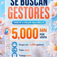 GESTORES DE VENTA - Img 56060299