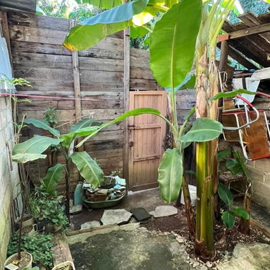 SE VENDEN 2 PROPIEDADES INDEPENDIENTES PERO JUNTAS PUERTA CALLE EN GUANABACOA , FUENTE BLANCA - 9/10