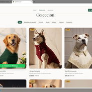 ¿Necesitas una página web? Te la creo rápido y barata - Img 55338616