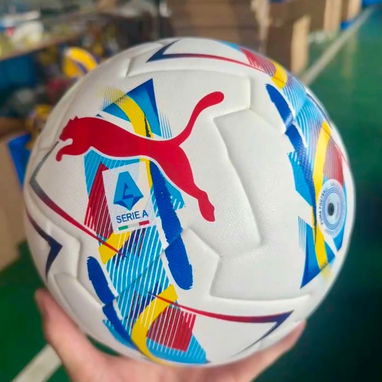 Todo tipo de balones futbol, voley, basket… - Img 112197250