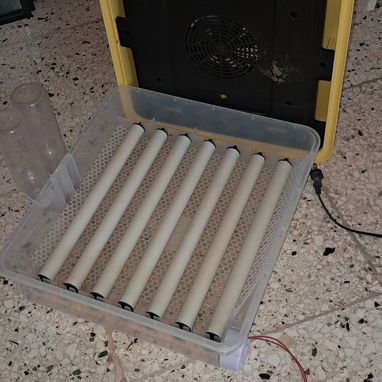Encubadora eléctrica para huevos - 4/5