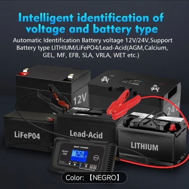Tunder Cargador inteligente BaterÃa Lifepo4 12V/24V - 25 Ah HTRC - Img 115656931