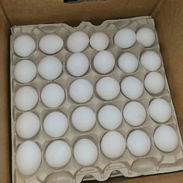 Huevos blancos - Img 55868720